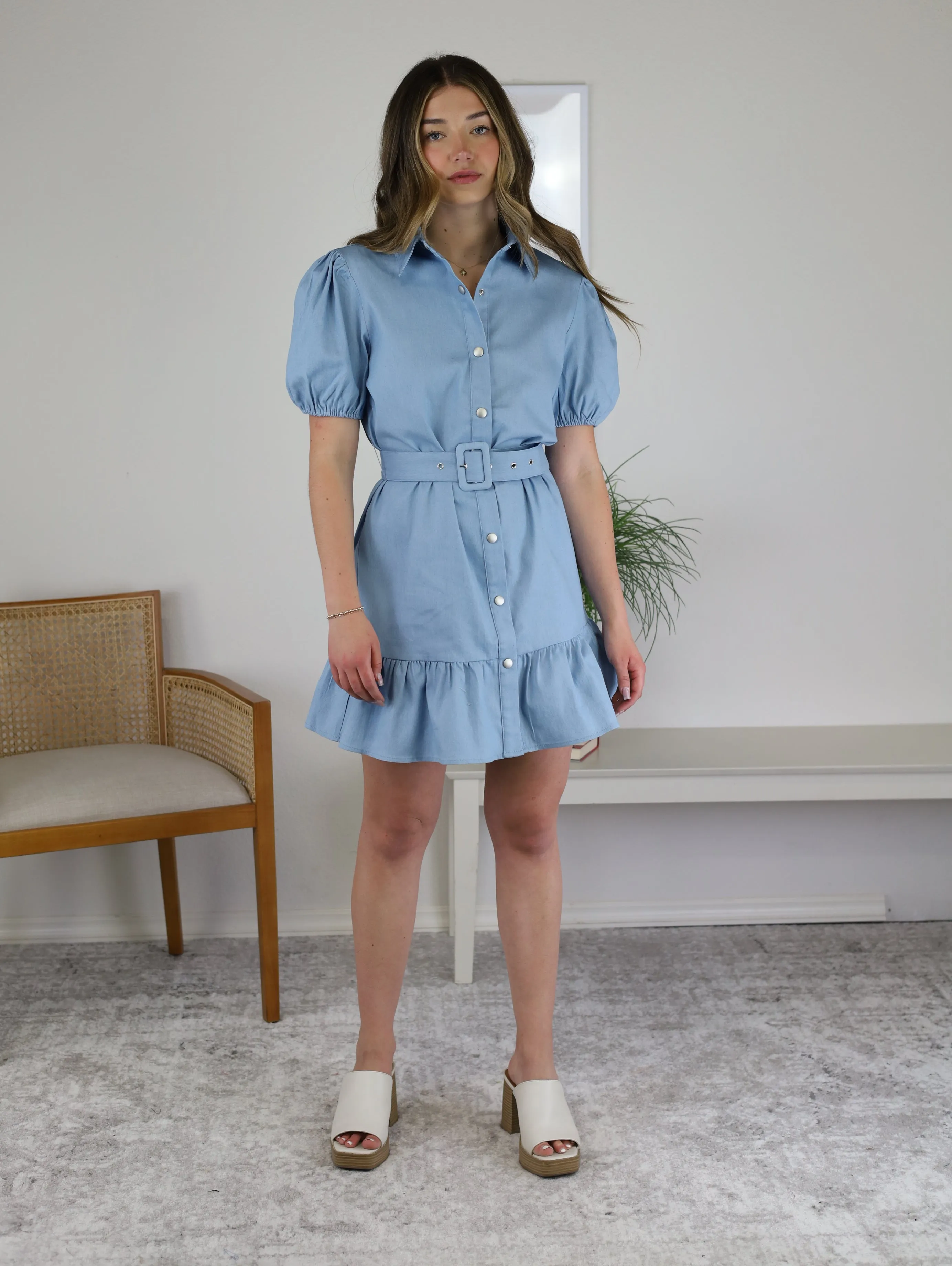 Cedar Puff Sleeve Dress