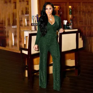 Elegant Sexy Office Style Full Sleeve  Jumpsuits
