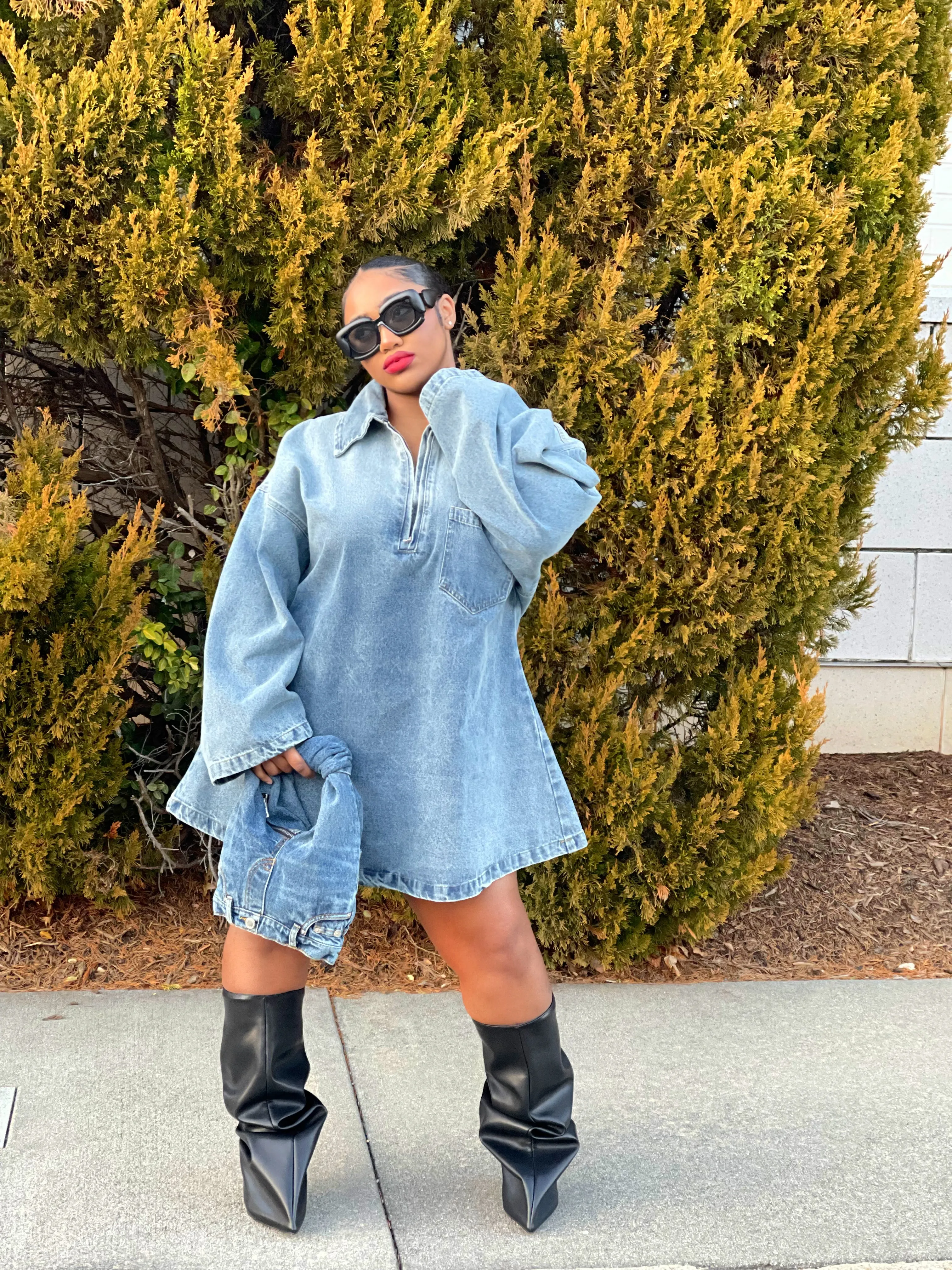 Lia Denim Mini Dress