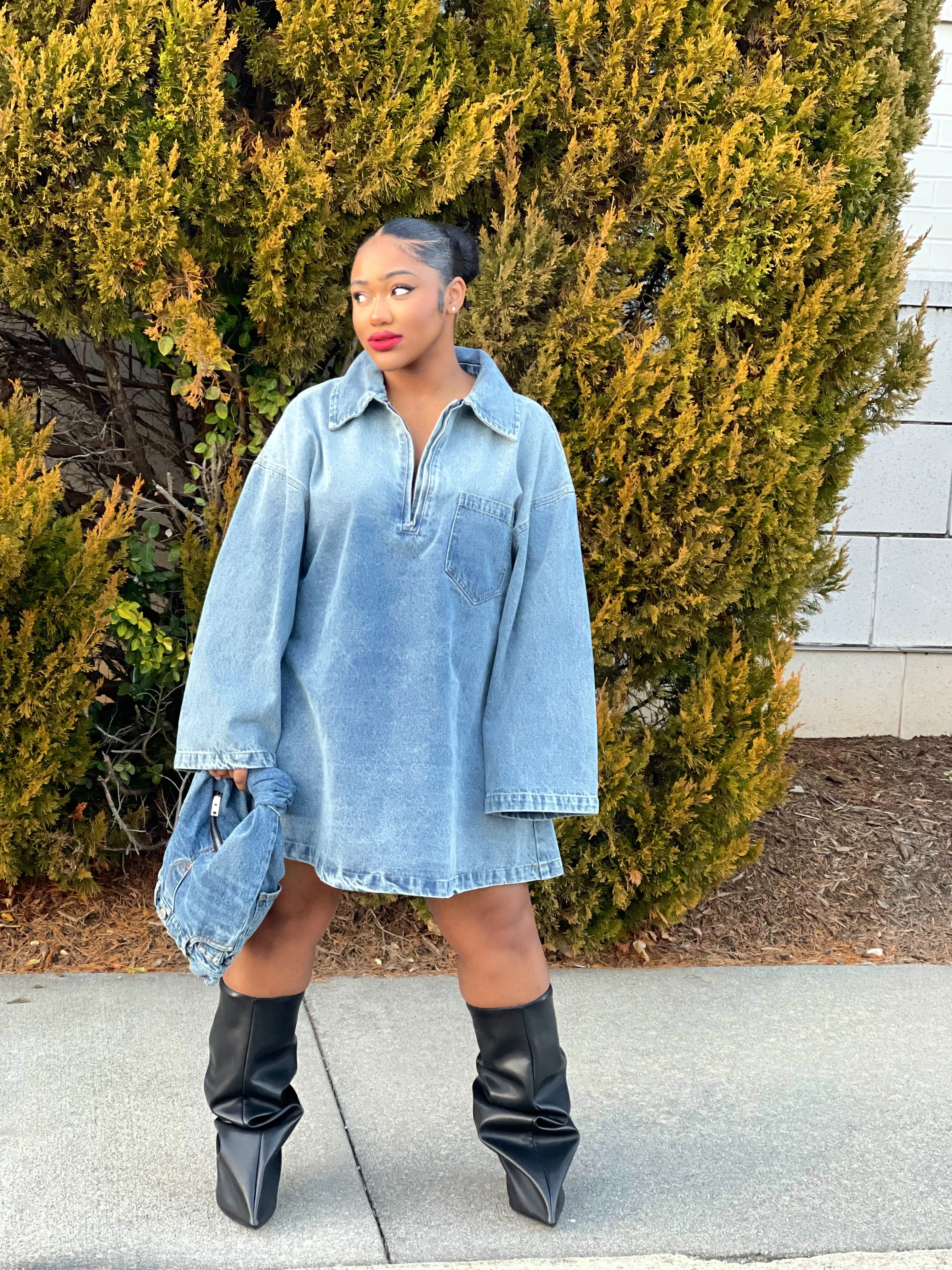 Lia Denim Mini Dress