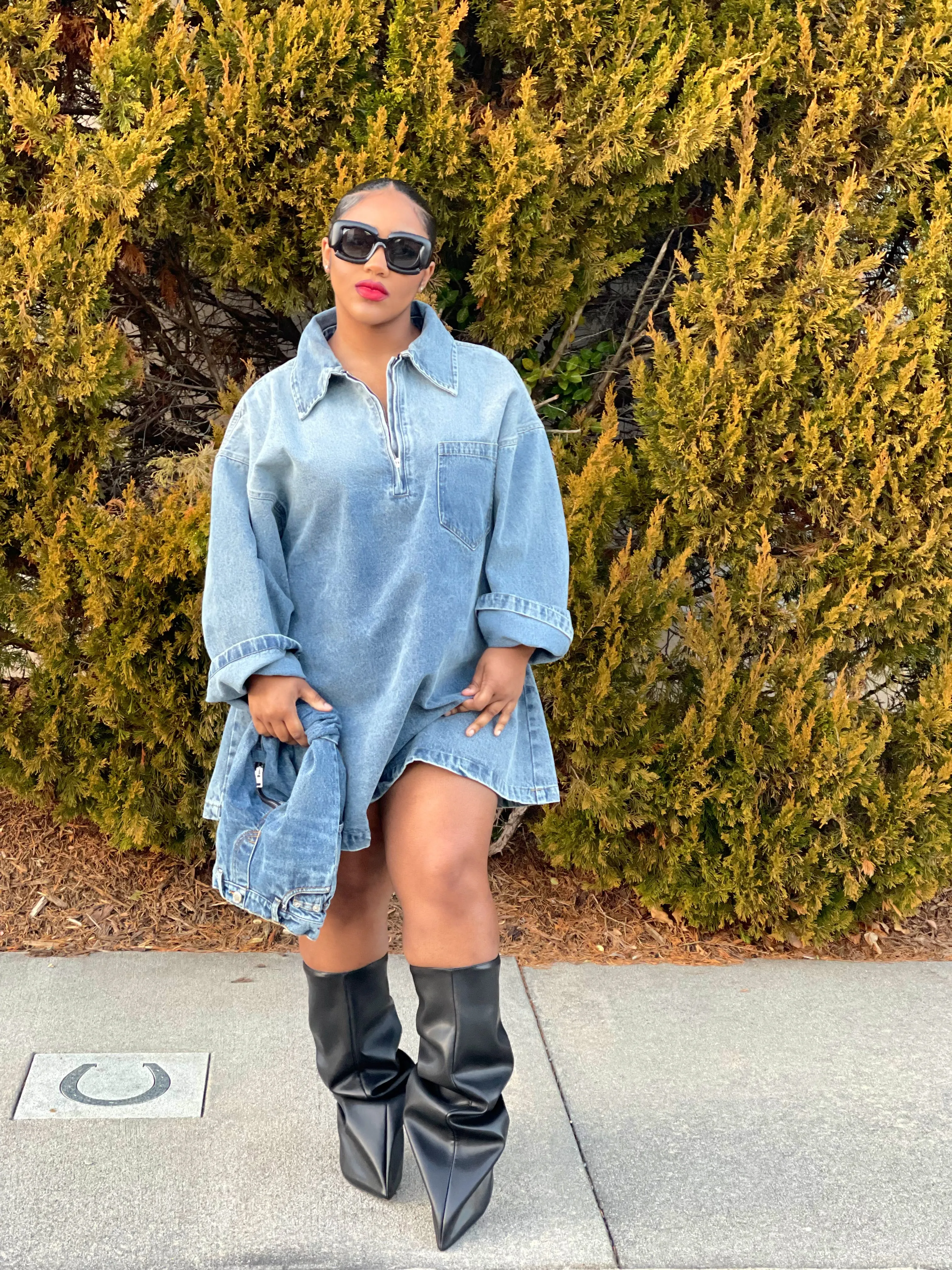 Lia Denim Mini Dress