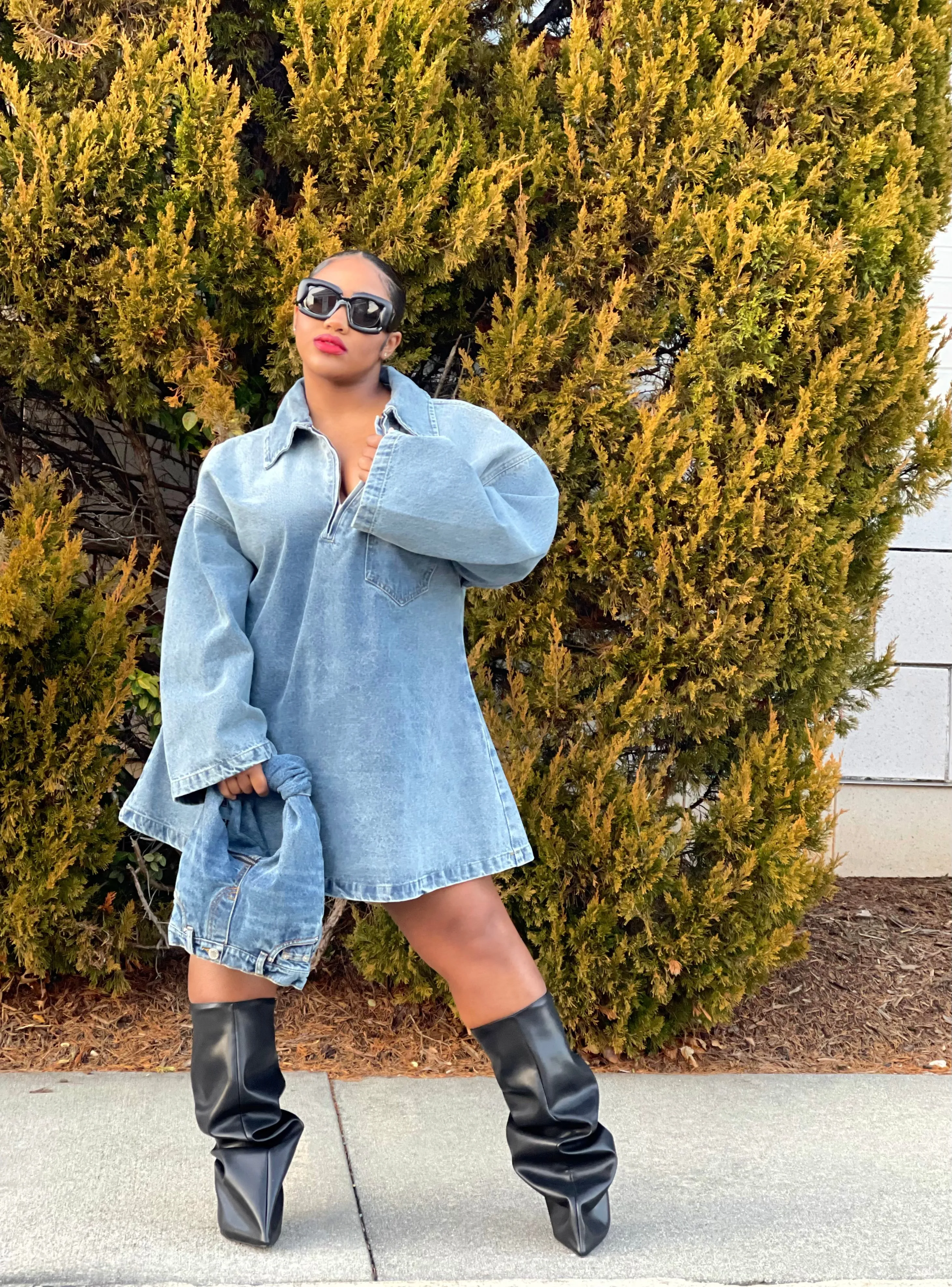 Lia Denim Mini Dress